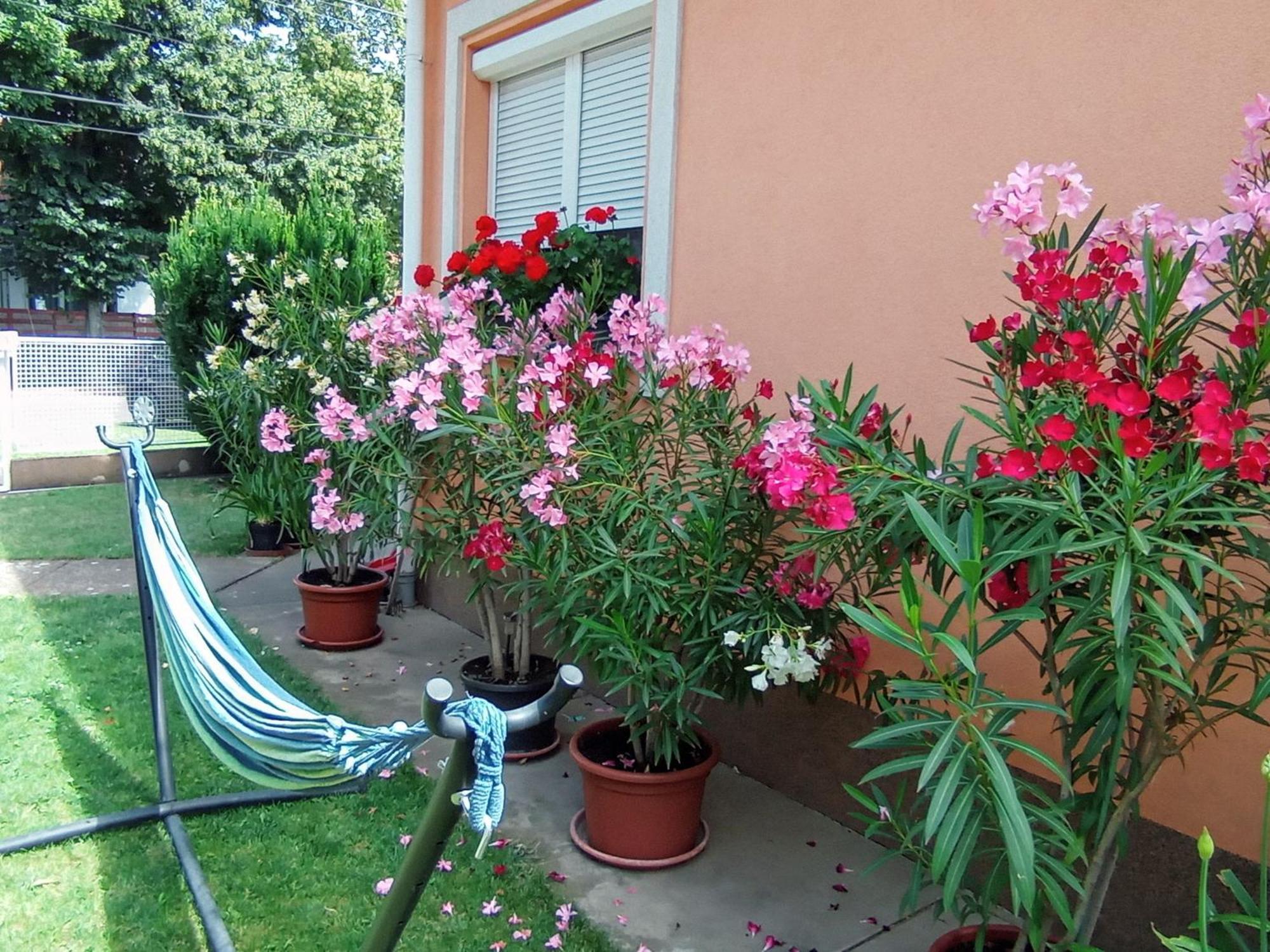 Marika Apartman Hajduszoboszlo Ngoại thất bức ảnh